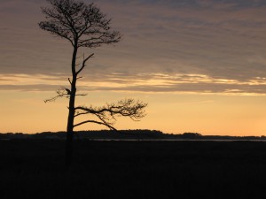 Day-3-the-peninsula_010