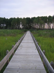 Day-3-the-peninsula_014