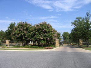 Day-6-the-peninsula_002