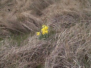 Img00118-20110403-1521