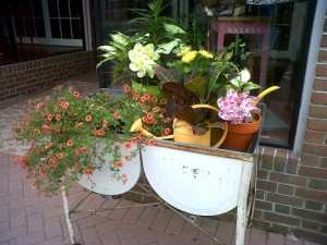 Img00172-20110504-0625