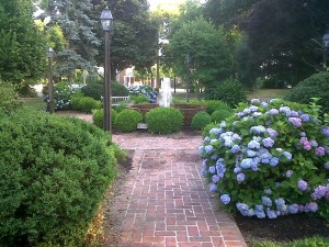 Img00226-20110614-0648