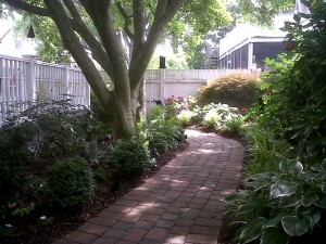 Img00235-20110618-1543