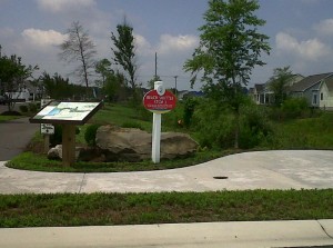 Img00247-20110709-1147