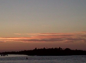 Img00259-20110716-2032