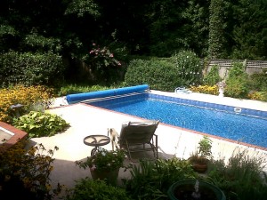 Img00271-20110728-1046