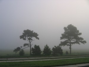 More_peninsula_81310_001