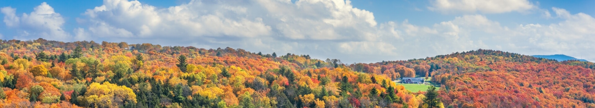 nature view