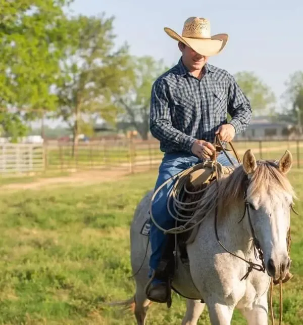 Cowboy on the horse