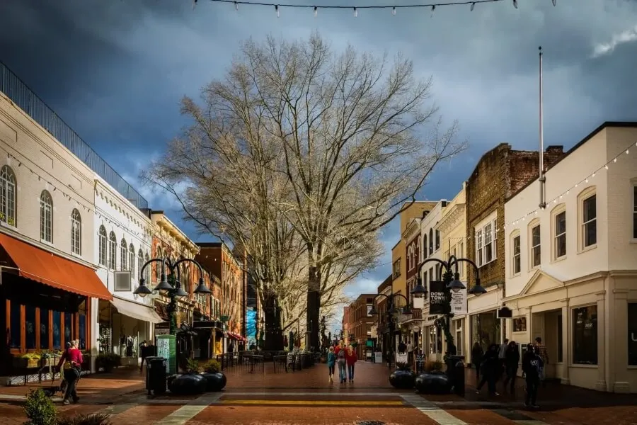 Small downtown buildings with tree on walking mall