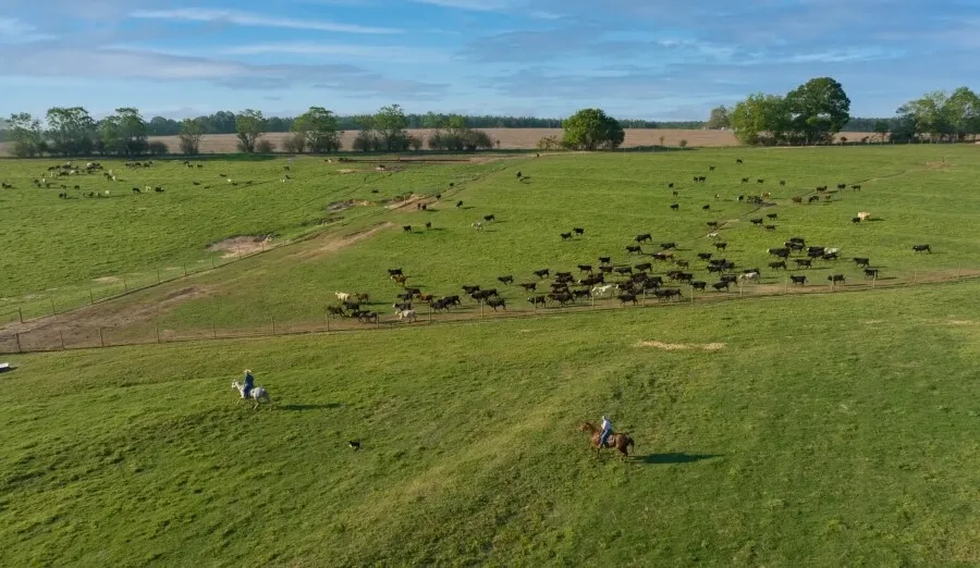 Farm