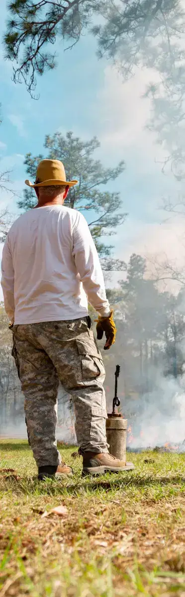 Man is burning the land