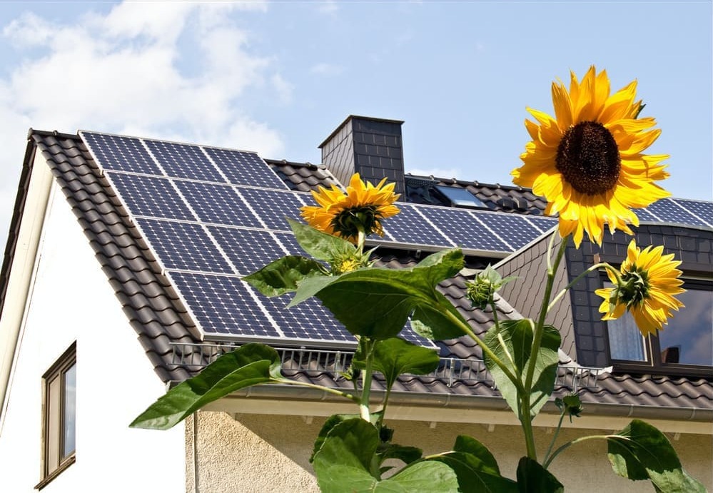 House with sunflowers and solar panels