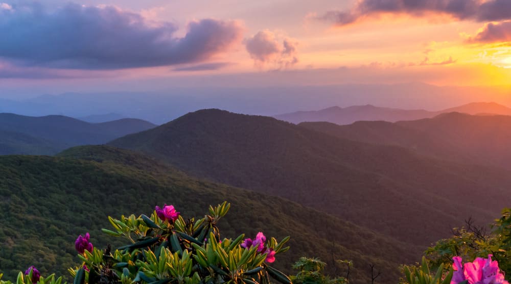Asheville Area
