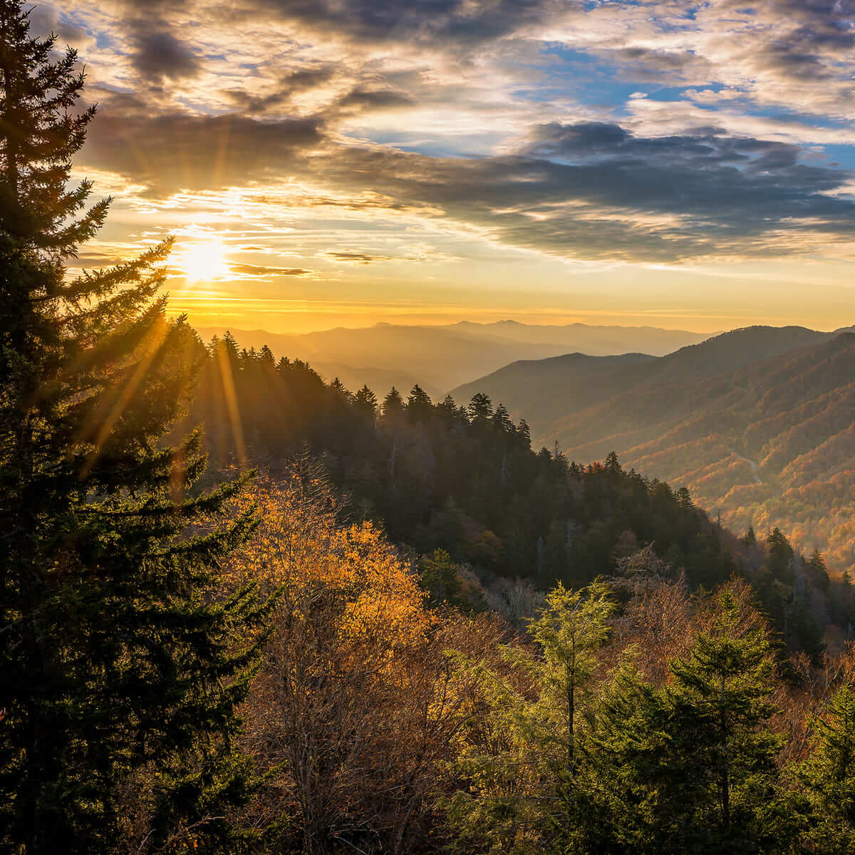 Sunset View in the Mountains with Forests