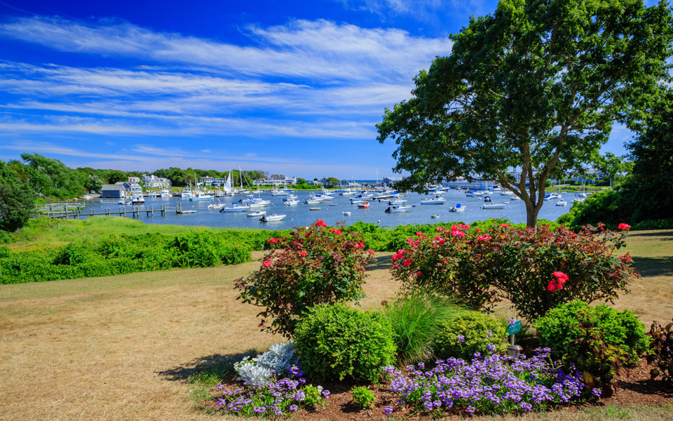 Lower Cape