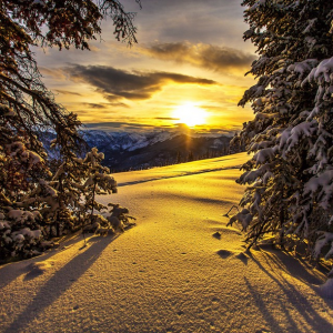 aspen skiing