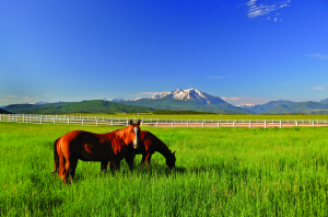 cache ranch