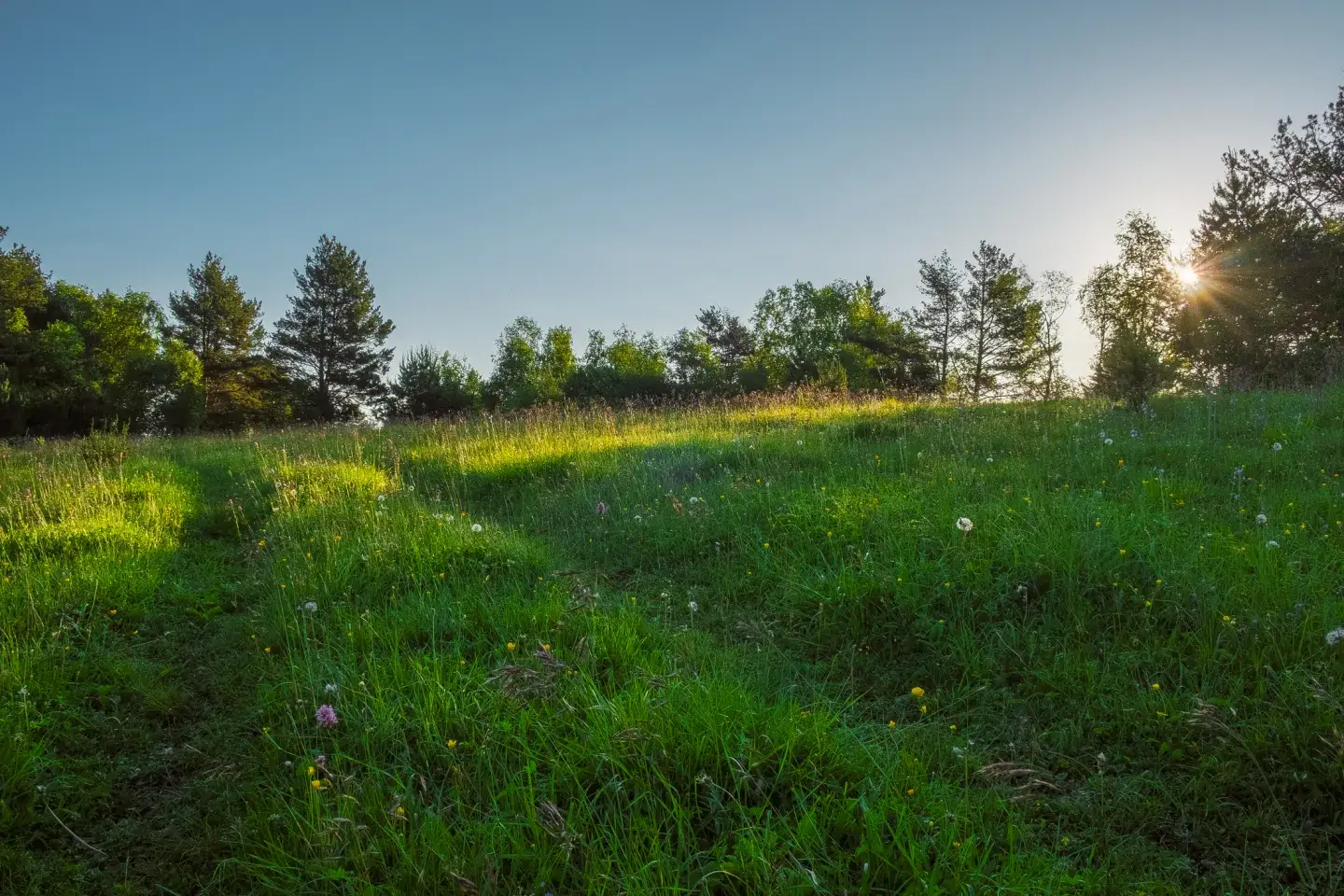 Plots of Land - Buying and Selling
