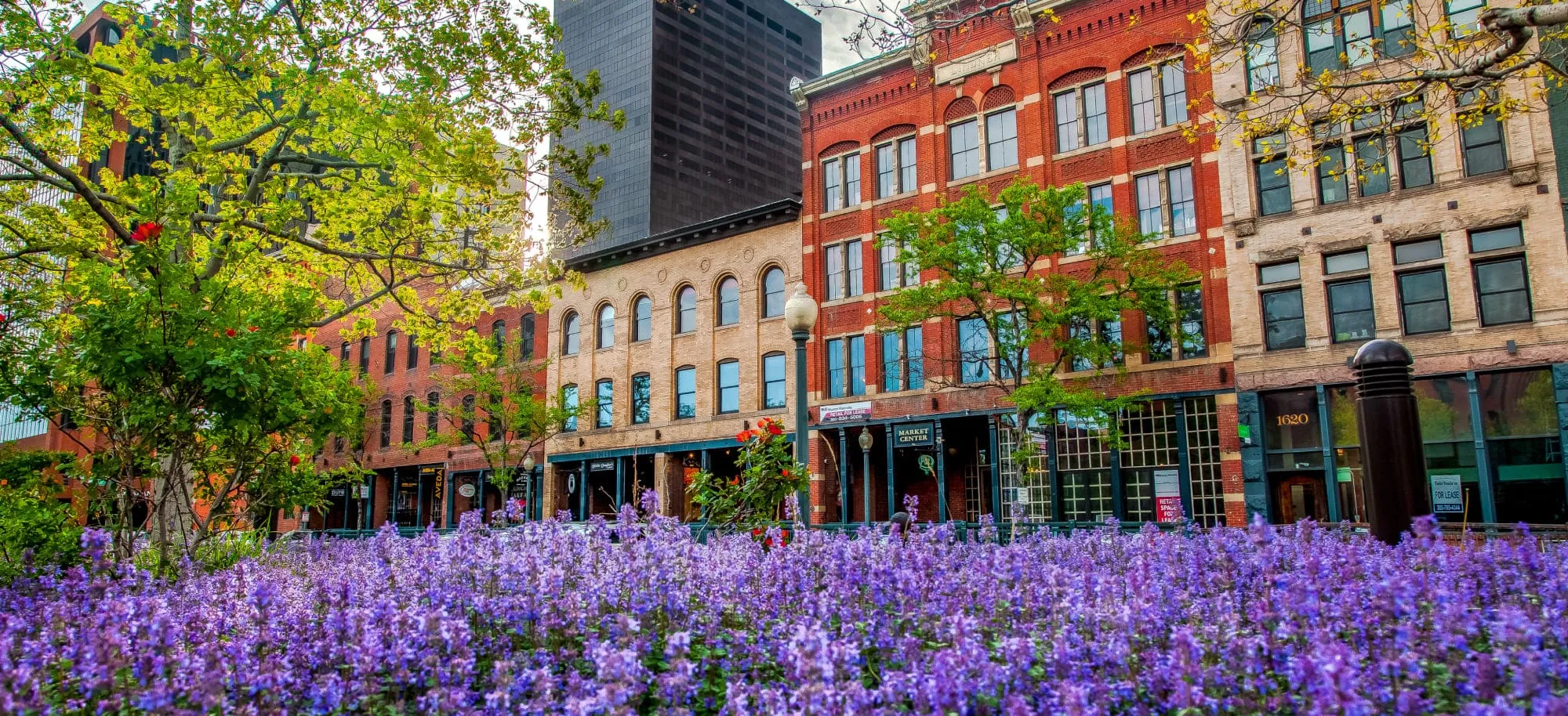 Corcoran Perry & Co. | Neighborhood