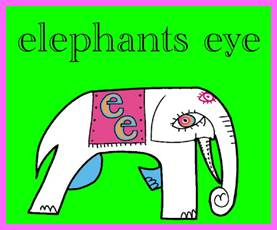 Elephant's Eye Experience