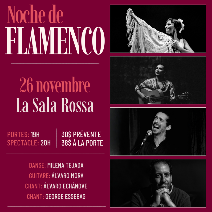 Noche de Flamenco