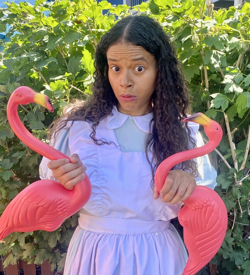 Kids' Matinee: The Playmakers, Alice In Wonderland, an interactive event artwork from Dazzle Denver