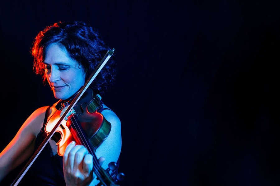 More Info for Jenny Scheinman's All Species Parade