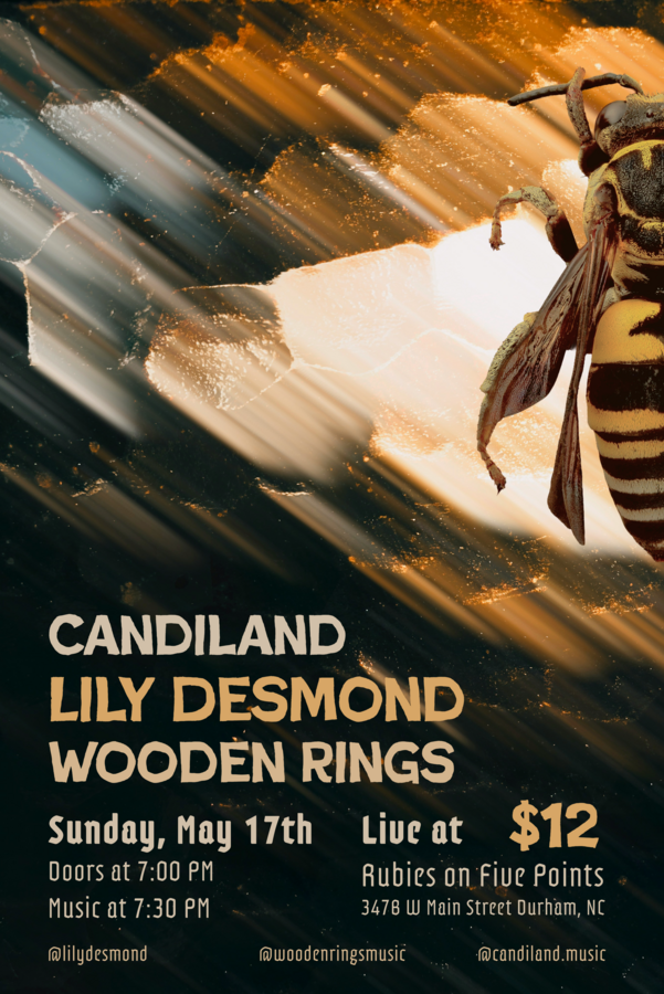 Wooden Rings