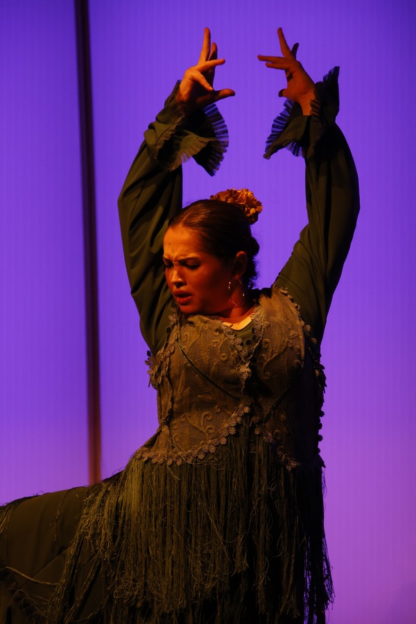 Cabaret Flamenco