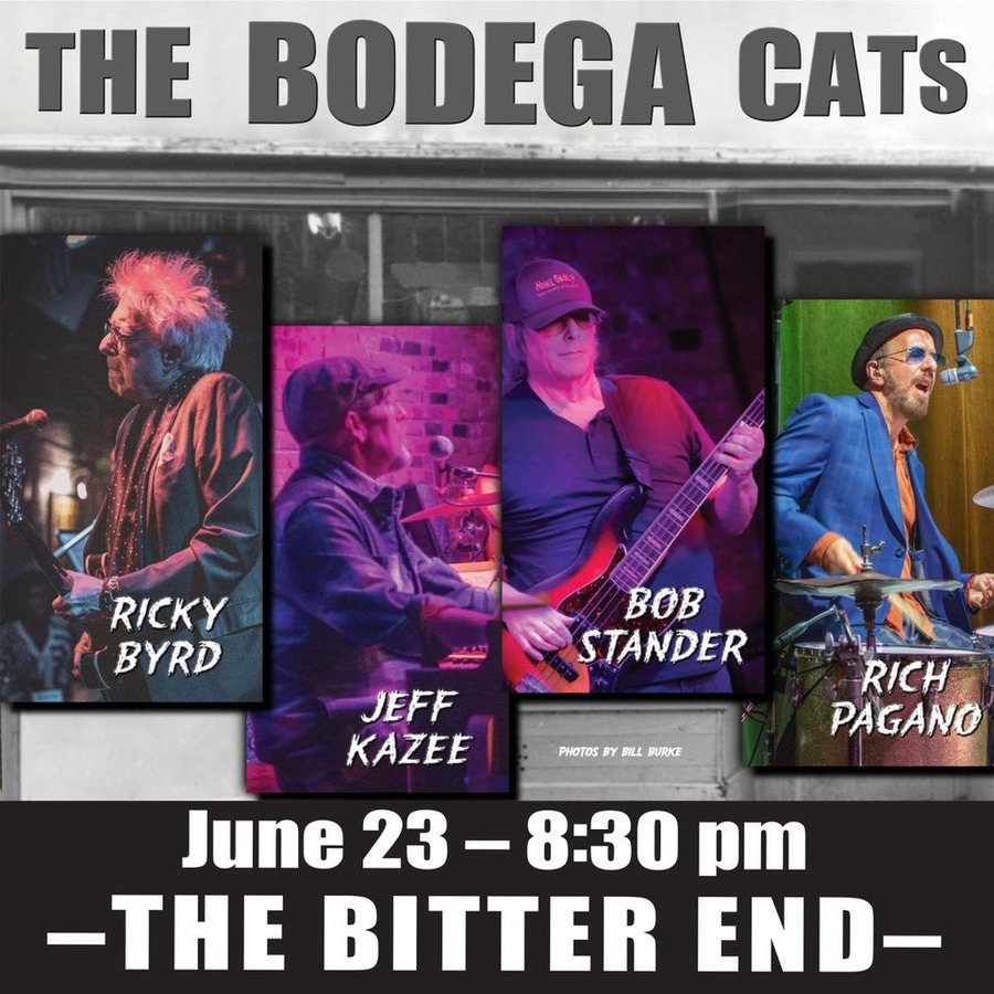 The Bodega Cats
