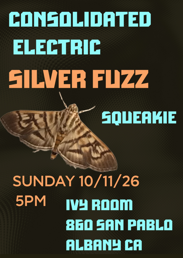Consolidated Electric + Silver Fuzz + Squeakie