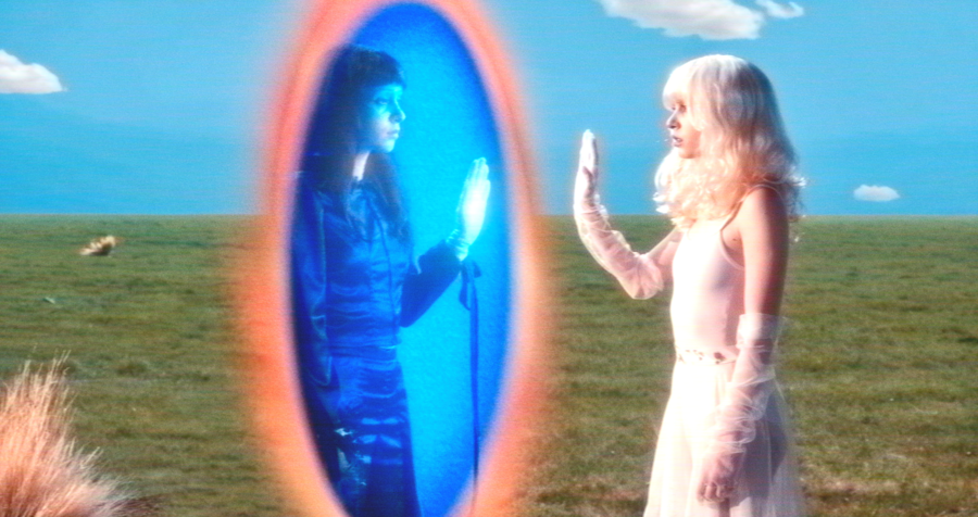 Imaginal Disk