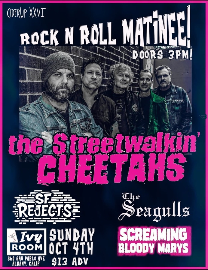 Street Walking Cheetahs + SF Rejects + THE SEAGULLS + Screaming Bloody Marys