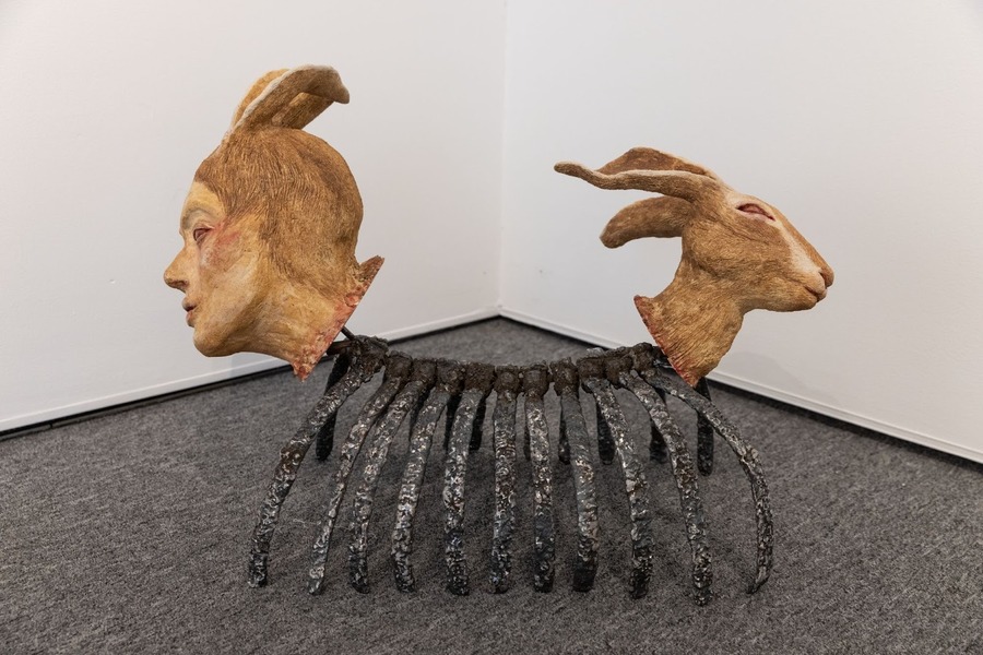 Falcon Laina - wingspan