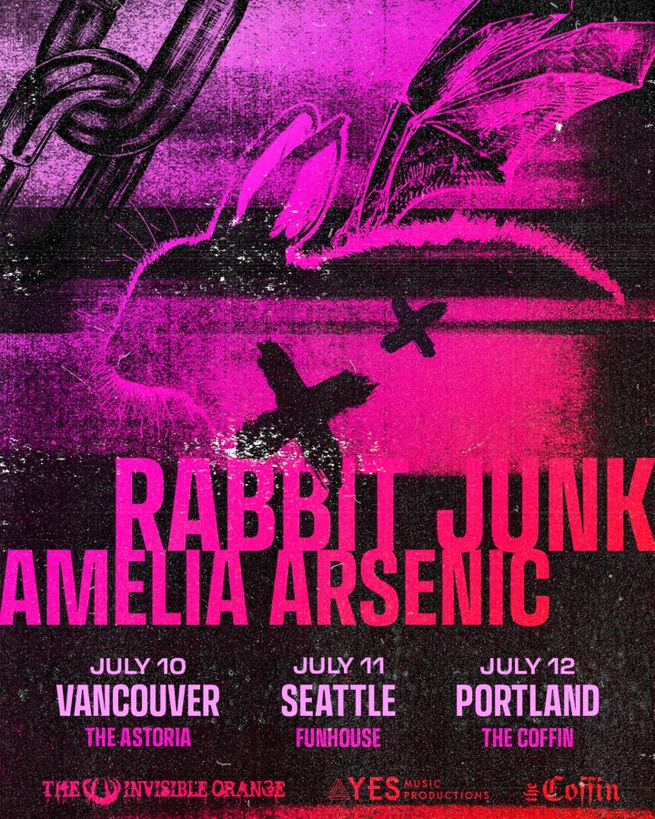 Rabbit Junk + Amelia Arsenic event image