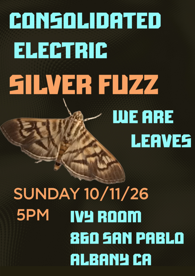 Consolidated Electric + Silver Fuzz + We Are Leaves