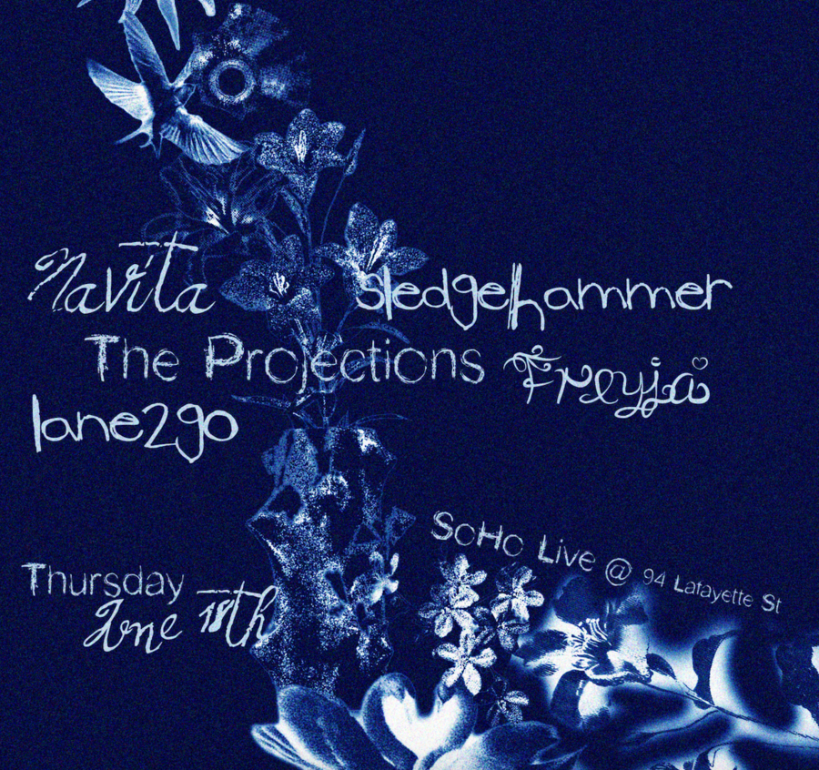 Navita / The Projections / Lane2Go / Freyja / Sledgehammer