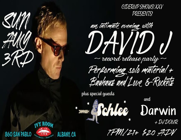 AN INTIMATE EVENING WITH DAVID J Logo