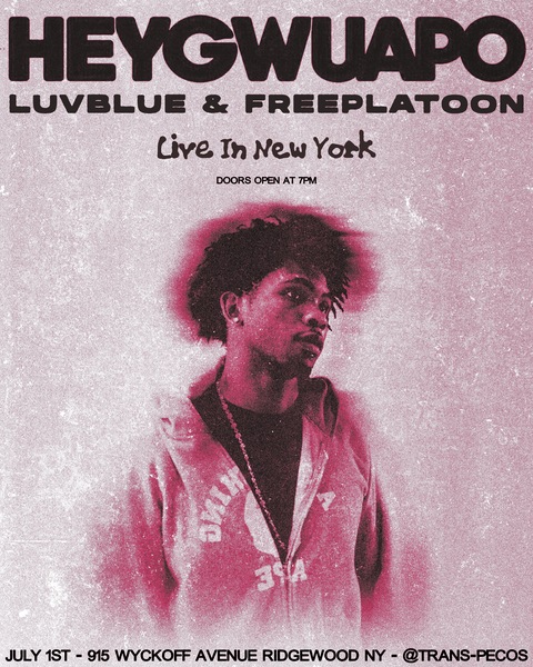 Heygwuapo Live in New York Logo