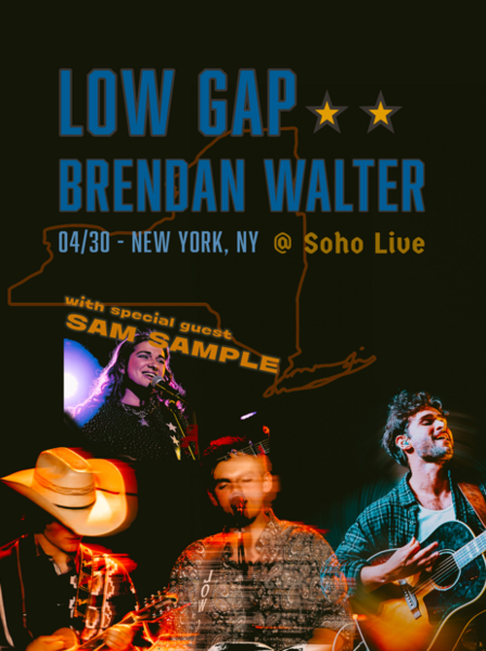 Low Gap & Brendan Walter Logo