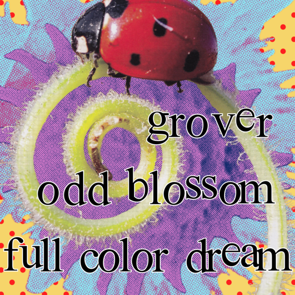 Grover, Odd Blossom (PDX), Full Color Dream Logo