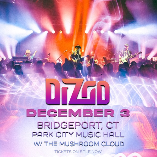 Dizgo Logo