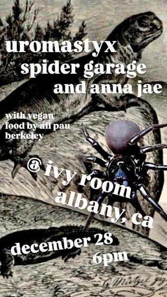 Uromastyx + Spider Garage + Anna Jae Logo