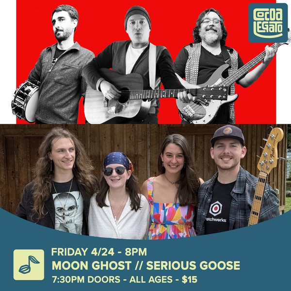 Moon Ghost // Serious Goose Logo