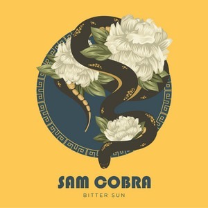Sam Cobra  Logo