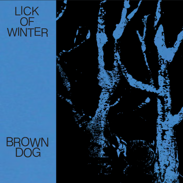 Brown Dog • Broom (NYC)• Pateka Logo