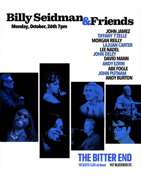 BILLY SEIDMAN & FRIENDS Logo