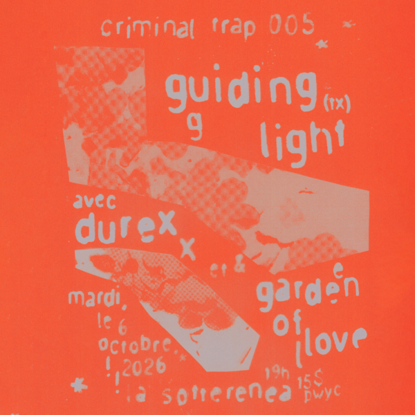 Guided Light and Artificial Go Logo