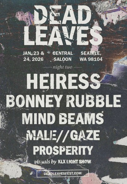 Dead Leaves Fest: Night Two Pass Logo